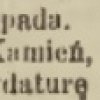 sowo polskie  1900 nr 527 s. 1